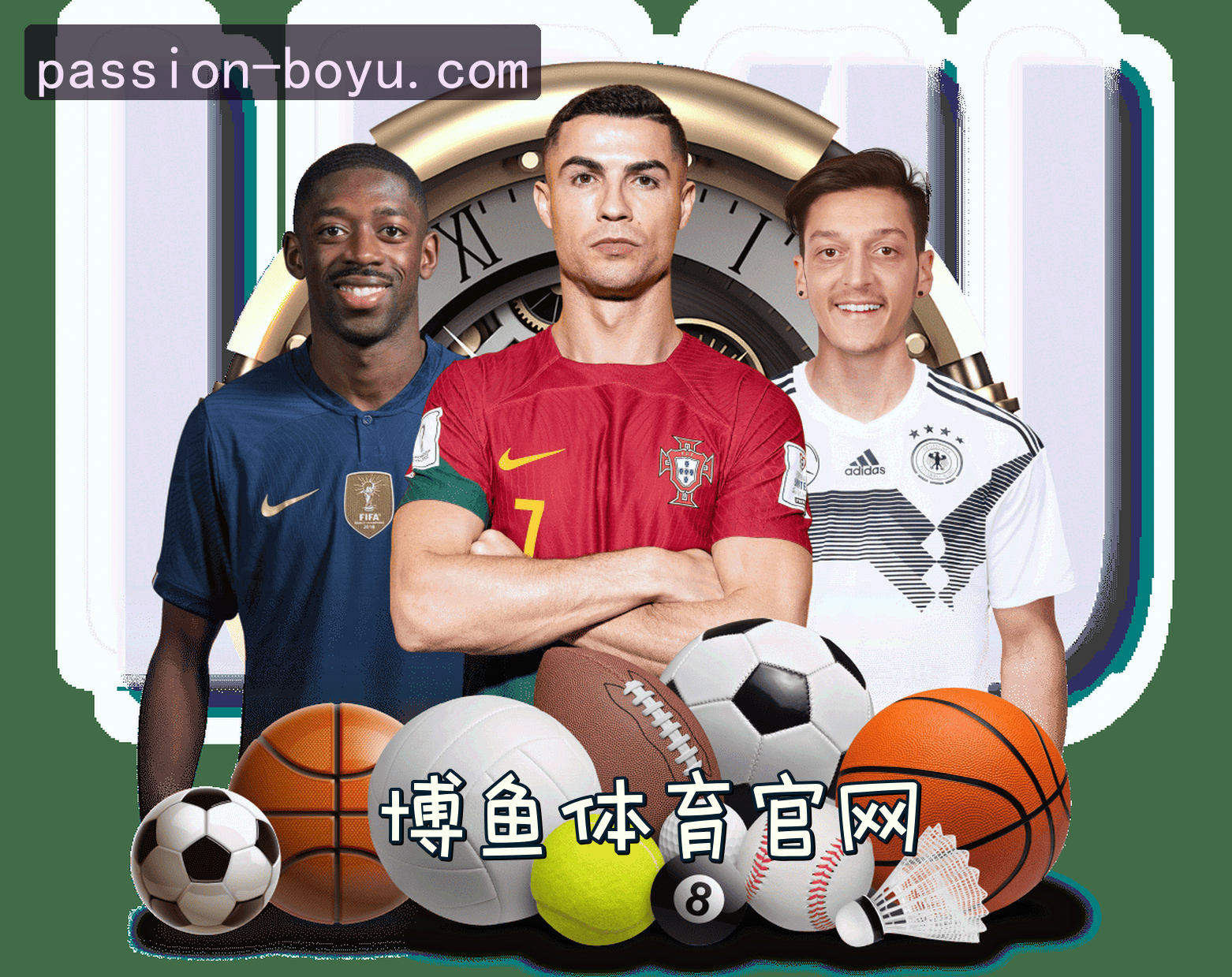 关于我们简介